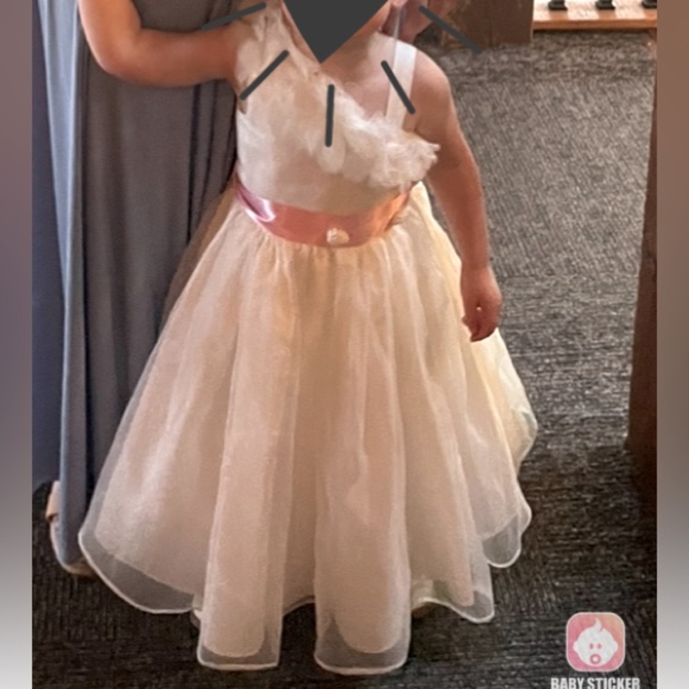3t Flower Girl Dress